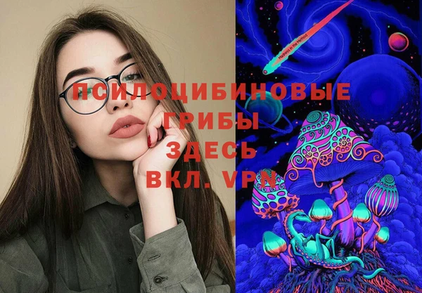 дживик Алексин